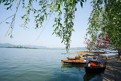 《怪猎：荒野》修复重复获取道具BUG 玩家哀叹赚钱路子断了